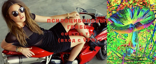 соль ск Верхний Тагил