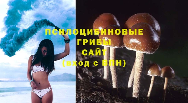 гидра Верея