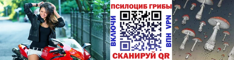 что такое   Петропавловск-Камчатский  Псилоцибиновые грибы мицелий 
